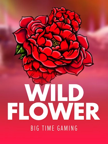 Wild Flower background
