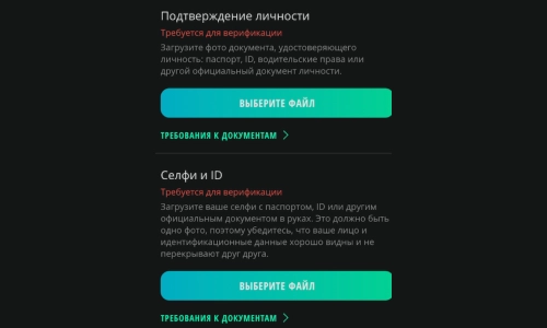 Подтверждение личности