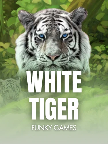 White Tiger background