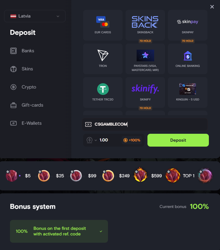 InsaneGG deposit options