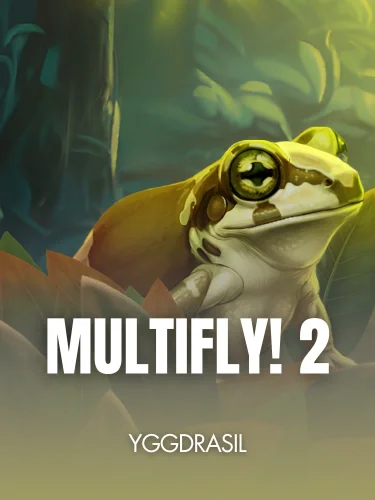 MultiFly! 2