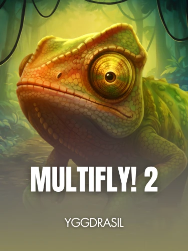MultiFly! 2