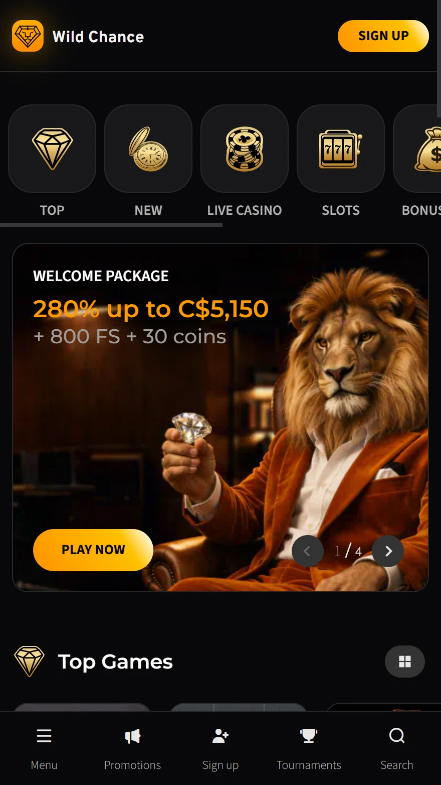 Wild Chance Casino homepage